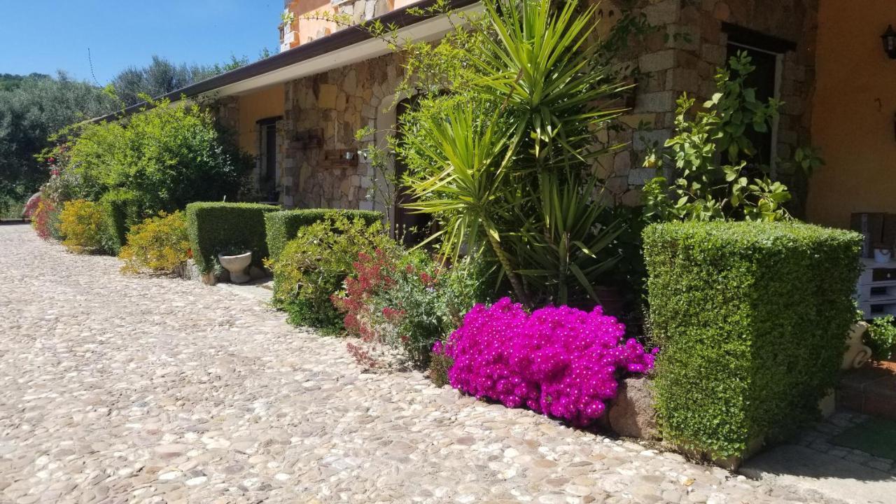 B&B Casa Vacanza Centro Sardegna Sorgono エクステリア 写真
