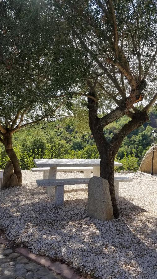B&B Casa Vacanza Centro Sardegna Sorgono エクステリア 写真
