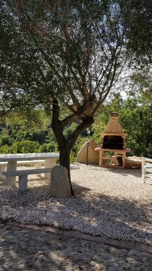 B&B Casa Vacanza Centro Sardegna Sorgono エクステリア 写真